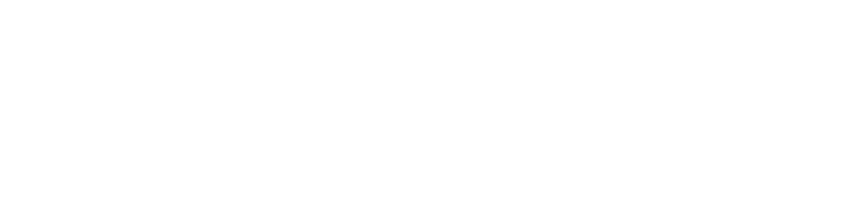 SmartMetrics - Marketing and AI services